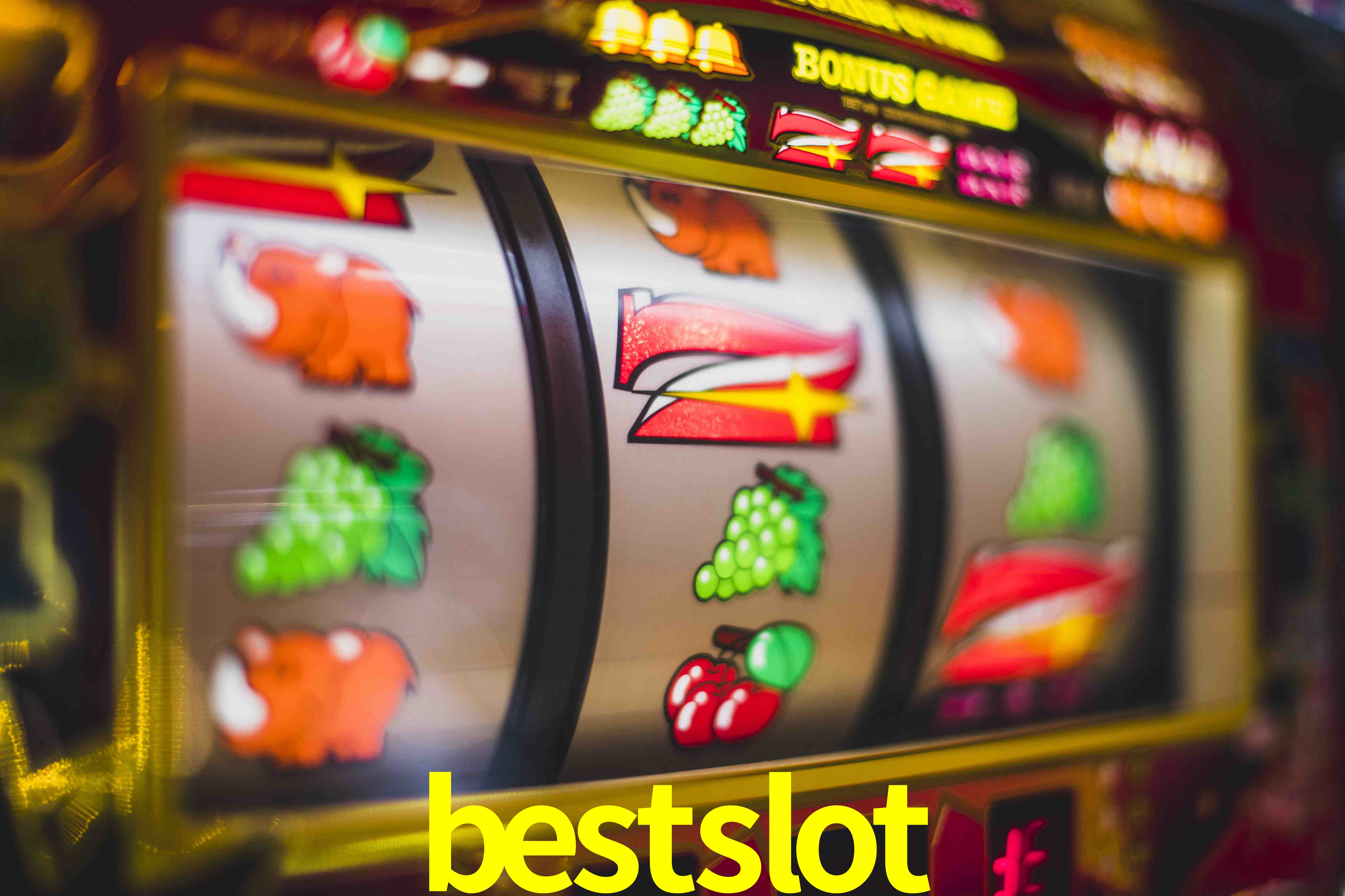 Live Casino bestslot
